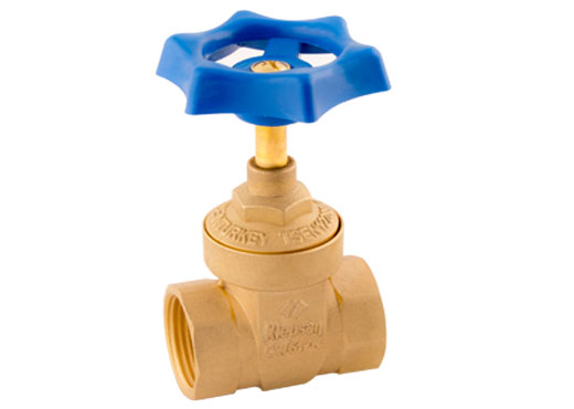 Gate Valve