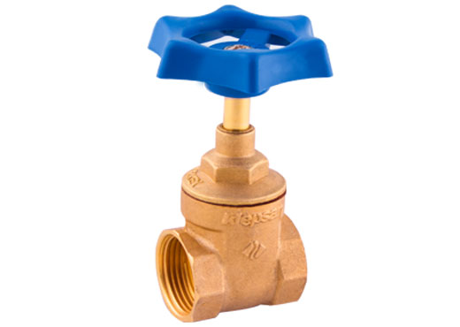 Gate valve (ECO)