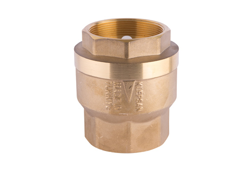 Spring Checkvalve